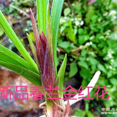 973cce44-5520-4406-9ebb-02ca9c08ff3b.jpg