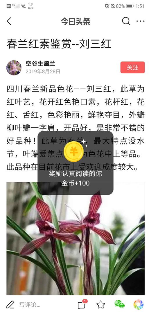 刘三红辨别-以兰会友-中国兰花交易网社区